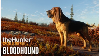 theHunter: Call of the Wildtm - Bloodhound